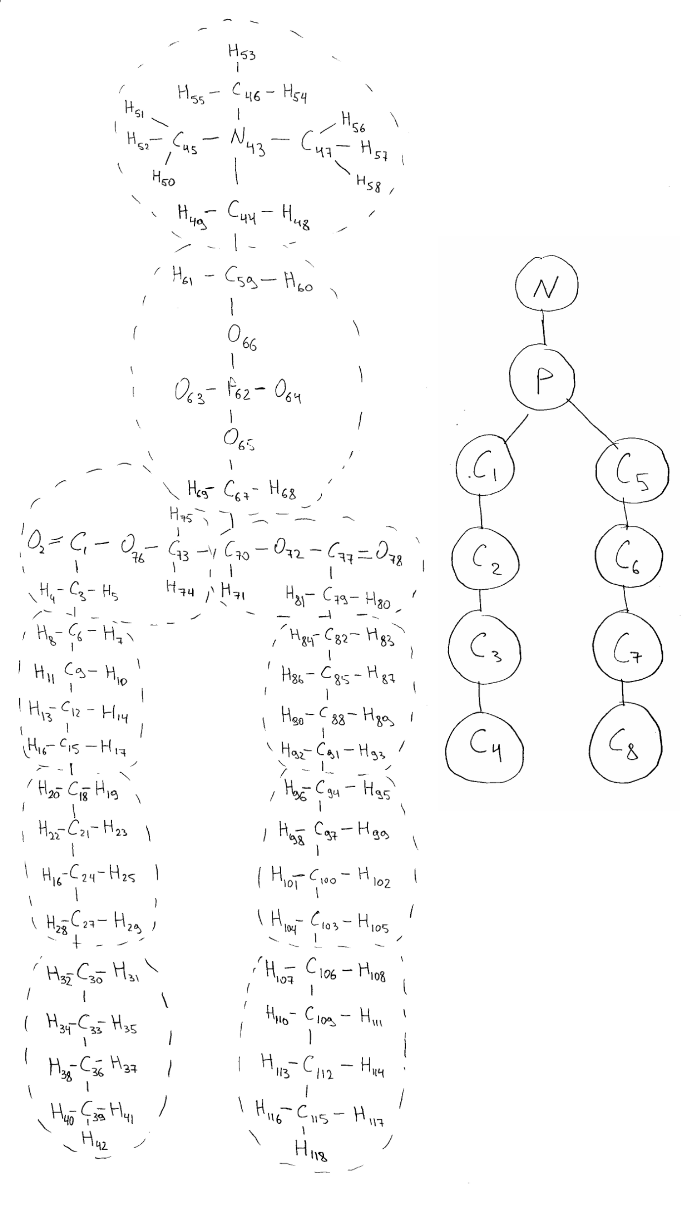 Image DMPC_CG_example-125ps