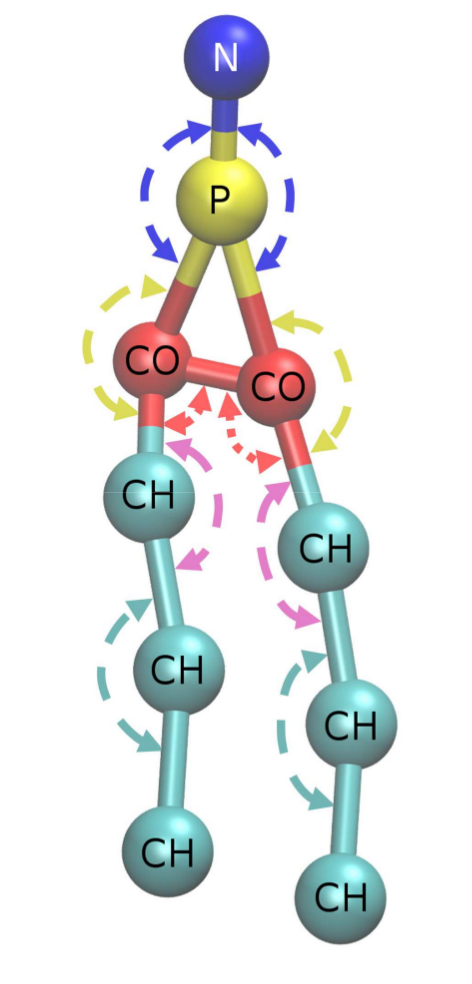 Image DMPC_interactions